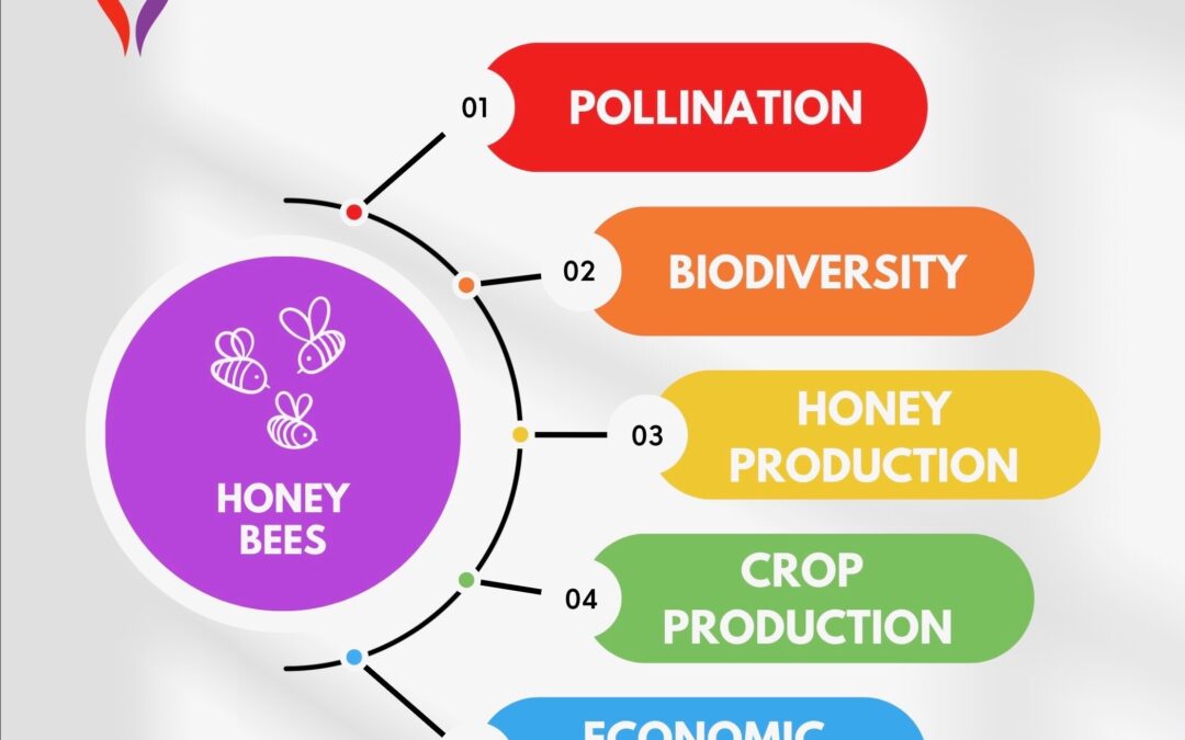 Bee-lieve it or Not: The Vital Role of Honey Bees in Our Food System